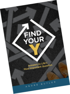 Find Your Y book